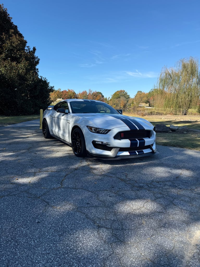 White Ford Mustang with black racing stripes parked on a lot with trees in the background on a clear day