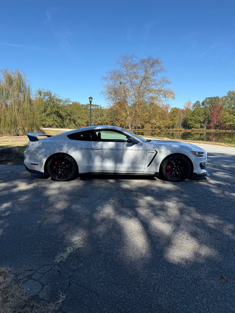 White Shelby Mustang GT sports car parked in a lot with trees and clear blue sky in the background
